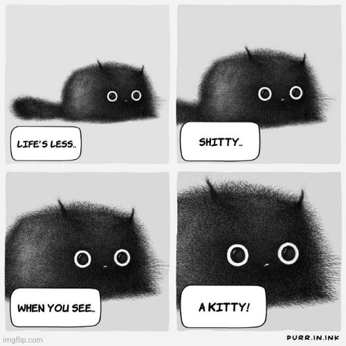 A SPOOKY KITTY | image tagged in cats,funny cats,spooky,comics/cartoons,spooktober | made w/ Imgflip meme maker