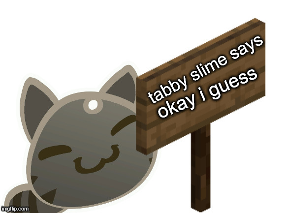 Tabby Slime Says | okay i guess | image tagged in tabby slime says | made w/ Imgflip meme maker