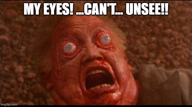 unsee | MY EYES! ...CAN'T... UNSEE!! | image tagged in eyes,can't unsee,don't look,terrible,hideous | made w/ Imgflip meme maker