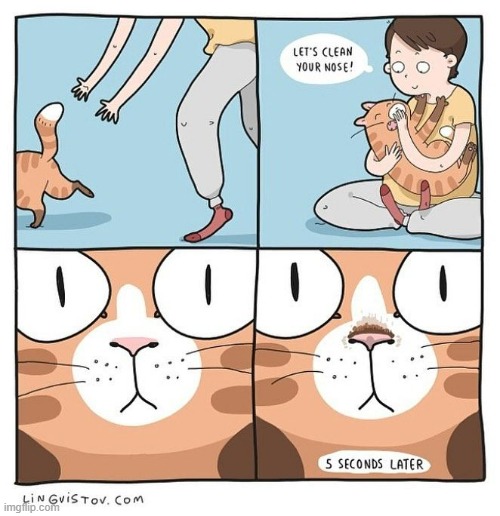 A Cat's Way Of Thinking | image tagged in memes,comics,cats,clean,nose,dirty | made w/ Imgflip meme maker