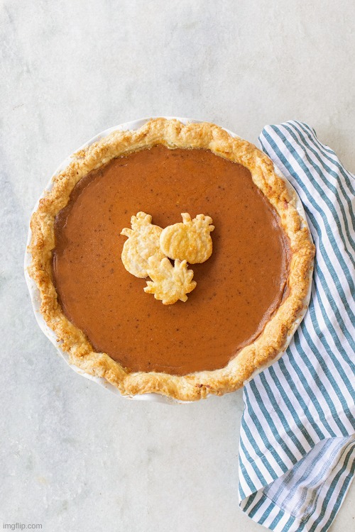 pumpkin pie | image tagged in pumpkin pie | made w/ Imgflip meme maker