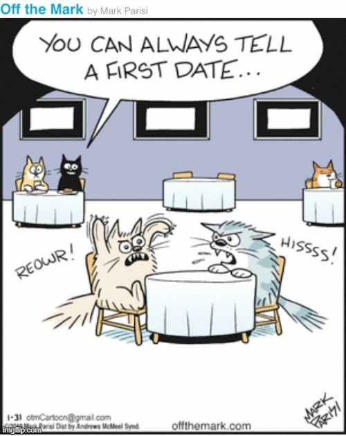 image tagged in memes,comics,cats,dinner,so you mean to tell me,first date | made w/ Imgflip meme maker