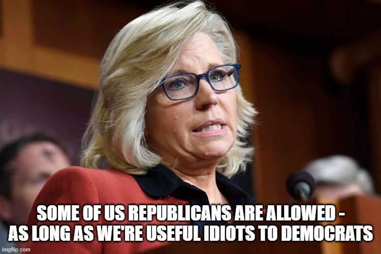 SOME OF US REPUBLICANS ARE ALLOWED - AS LONG AS WE'RE USEFUL IDIOTS TO DEMOCRATS | made w/ Imgflip meme maker