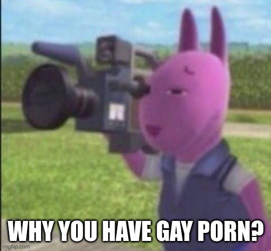 Caught in 4k | WHY YOU HAVE GAY PORN? | image tagged in caught in 4k | made w/ Imgflip meme maker