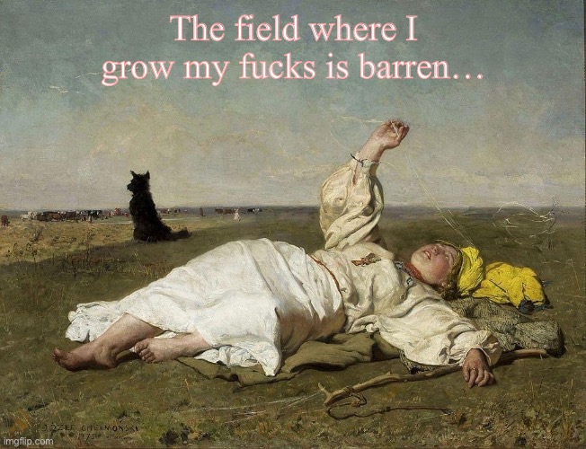 Fallow field of fucks | The field where I grow my fucks is barren… | image tagged in lady lying in field | made w/ Imgflip meme maker