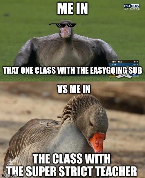 ME IN; THAT ONE CLASS WITH THE EASYGOING SUB; VS ME IN; THE CLASS WITH THE SUPER STRICT TEACHER | image tagged in goose on the loose | made w/ Imgflip meme maker
