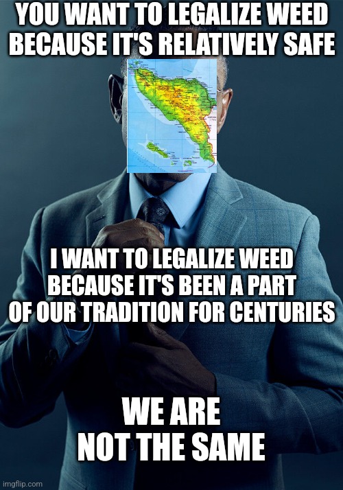 hehe sharia law + weed go brrr | YOU WANT TO LEGALIZE WEED BECAUSE IT'S RELATIVELY SAFE; I WANT TO LEGALIZE WEED BECAUSE IT'S BEEN A PART OF OUR TRADITION FOR CENTURIES; WE ARE NOT THE SAME | image tagged in gus fring we are not the same,weed,legalize weed,marijuana,cannabis,indonesia | made w/ Imgflip meme maker