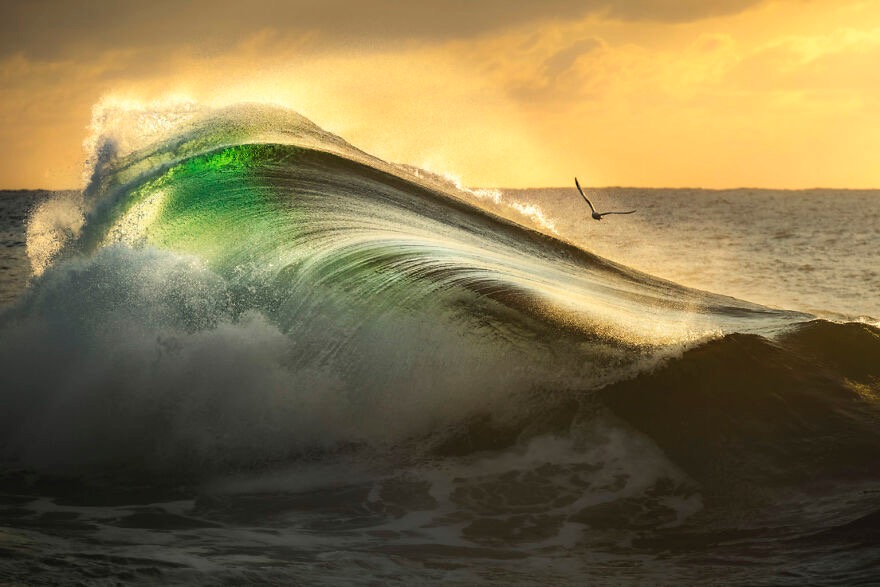 Photo credit: Gergo Rugli | image tagged in awesome,pics,photography | made w/ Imgflip meme maker