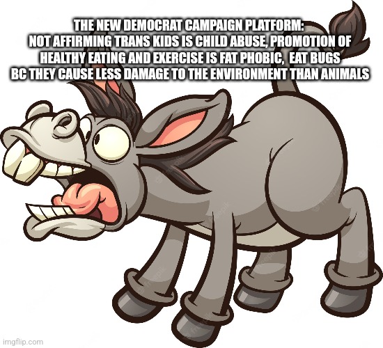 THE NEW DEMOCRAT CAMPAIGN PLATFORM: 
NOT AFFIRMING TRANS KIDS IS CHILD ABUSE, PROMOTION OF HEALTHY EATING AND EXERCISE IS FAT PHOBIC,  EAT BUGS BC THEY CAUSE LESS DAMAGE TO THE ENVIRONMENT THAN ANIMALS | image tagged in funny memes | made w/ Imgflip meme maker
