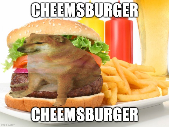 Cheemsburger.... yum |  CHEEMSBURGER; CHEEMSBURGER | image tagged in cheems,burger,funny,fun,memes,oh wow are you actually reading these tags | made w/ Imgflip meme maker