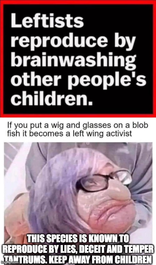 Do Lefties Use More Of Their Brain at Aaron Reese blog