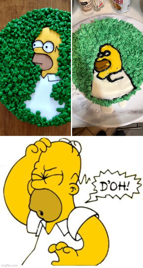 The one on the right a fail | image tagged in homer doh,homer simpson,you had one job,cooking fail,memes,the simpsons | made w/ Imgflip meme maker