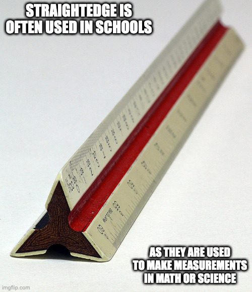 Straightedge | STRAIGHTEDGE IS OFTEN USED IN SCHOOLS; AS THEY ARE USED TO MAKE MEASUREMENTS IN MATH OR SCIENCE | image tagged in ruler,memes,school | made w/ Imgflip meme maker