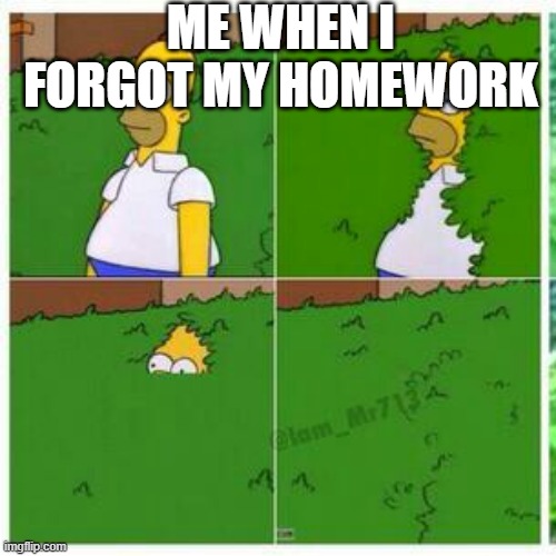 oh no | ME WHEN I FORGOT MY HOMEWORK | image tagged in homer hides | made w/ Imgflip meme maker