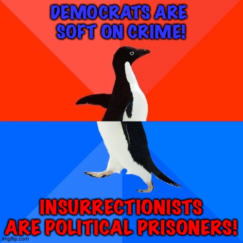 Socially Awesome Awkward Penguin | DEMOCRATS ARE 
SOFT ON CRIME! INSURRECTIONISTS ARE POLITICAL PRISONERS! | image tagged in memes,socially awesome awkward penguin | made w/ Imgflip meme maker