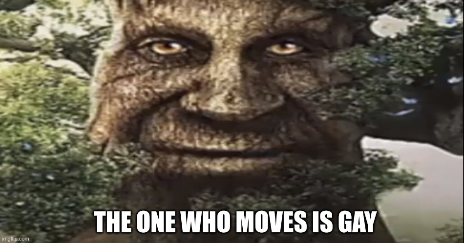 Dont move you fool | THE ONE WHO MOVES IS GAY | image tagged in wise mystical tree | made w/ Imgflip meme maker