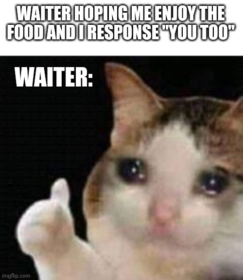 True | WAITER HOPING ME ENJOY THE FOOD AND I RESPONSE "YOU TOO"; WAITER: | image tagged in approved crying cat | made w/ Imgflip meme maker