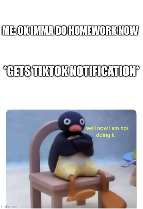 ME: OK IMMA DO HOMEWORK NOW; *GETS TIKTOK NOTIFICATION* | image tagged in blank white template,well now i am not doing it | made w/ Imgflip meme maker