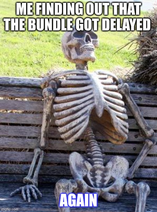 Mojang be like | ME FINDING OUT THAT THE BUNDLE GOT DELAYED; AGAIN | image tagged in memes,waiting skeleton | made w/ Imgflip meme maker
