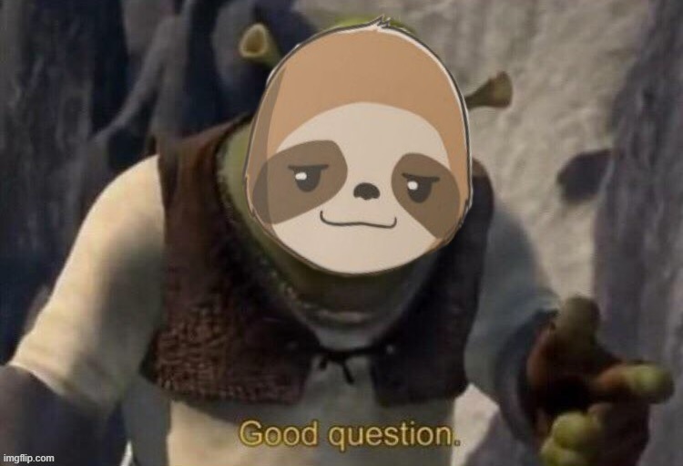 Sloth good question | image tagged in sloth good question | made w/ Imgflip meme maker