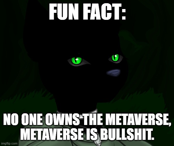 My new panther fursona | FUN FACT:; NO ONE OWNS THE METAVERSE, METAVERSE IS BULLSHIT. | image tagged in my new panther fursona | made w/ Imgflip meme maker