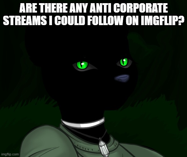 My new panther fursona | ARE THERE ANY ANTI CORPORATE STREAMS I COULD FOLLOW ON IMGFLIP? | image tagged in my new panther fursona | made w/ Imgflip meme maker