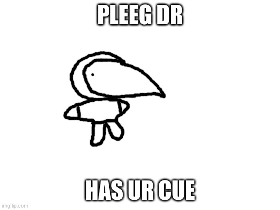 Blank White Template | PLEEG DR HAS UR CUE | image tagged in blank white template | made w/ Imgflip meme maker