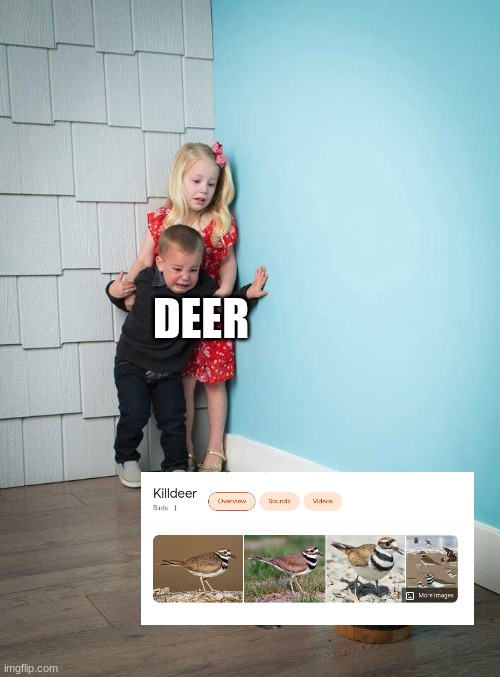 Kids scared of Rabbit | DEER | image tagged in kids scared of rabbit | made w/ Imgflip meme maker