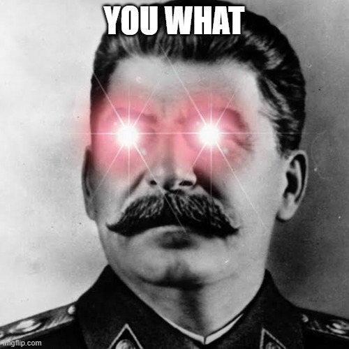 Pissed Stalin | YOU WHAT | image tagged in pissed stalin | made w/ Imgflip meme maker