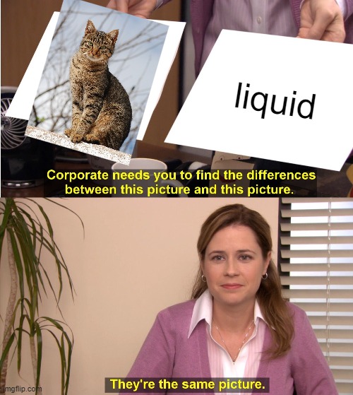 Meme #149 | liquid | image tagged in memes,they're the same picture,cats,funny,water,funy memes | made w/ Imgflip meme maker