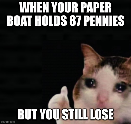 True story | WHEN YOUR PAPER BOAT HOLDS 87 PENNIES; BUT YOU STILL LOSE | image tagged in thumbs up crying cat | made w/ Imgflip meme maker