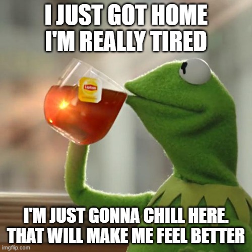 i'm feeling good. | I JUST GOT HOME I'M REALLY TIRED; I'M JUST GONNA CHILL HERE. THAT WILL MAKE ME FEEL BETTER | image tagged in memes,but that's none of my business,kermit the frog | made w/ Imgflip meme maker