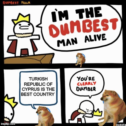 I'm the dumbest man alive | TURKISH REPUBLIC OF CYPRUS IS THE BEST COUNTRY | image tagged in i'm the dumbest man alive | made w/ Imgflip meme maker