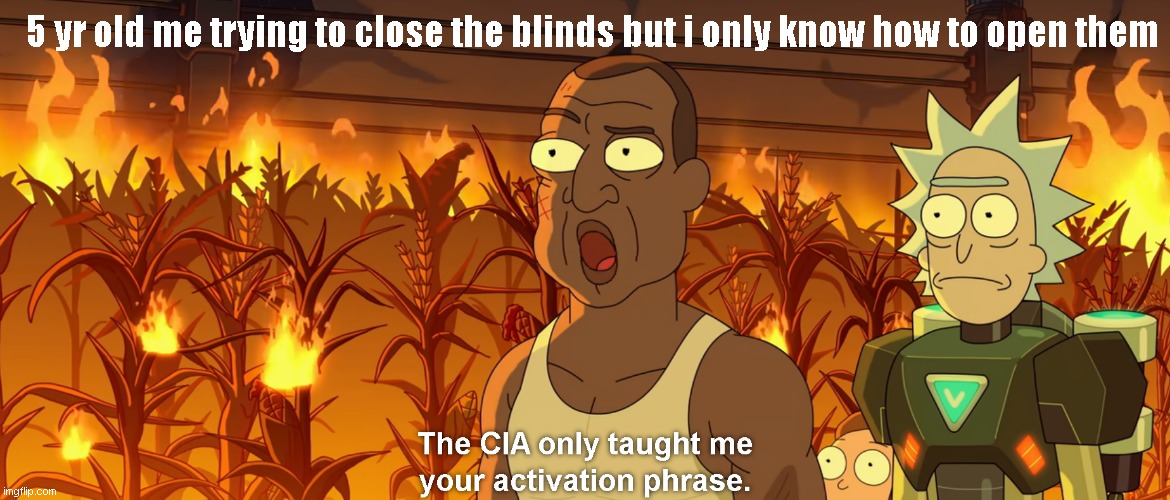 The CIA only taught me your activation phrase | 5 yr old me trying to close the blinds but i only know how to open them | image tagged in the cia only taught me your activation phrase | made w/ Imgflip meme maker