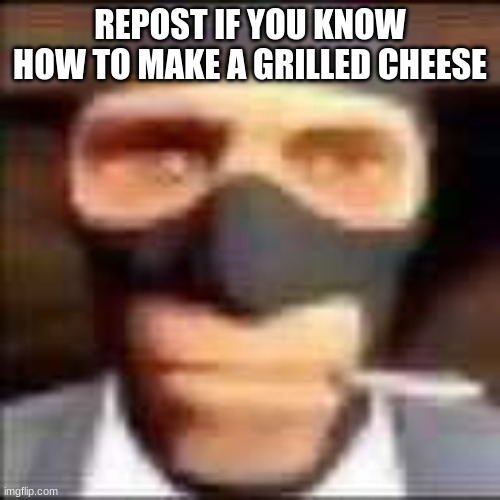 spi | REPOST IF YOU KNOW HOW TO MAKE A GRILLED CHEESE | image tagged in spi | made w/ Imgflip meme maker