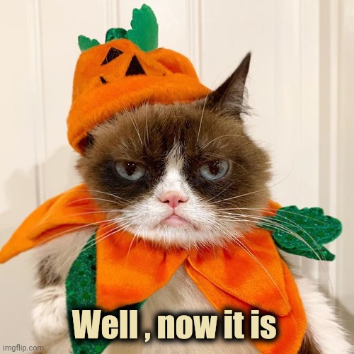 Grumpy Cat Halloween | Well , now it is | image tagged in grumpy cat halloween | made w/ Imgflip meme maker