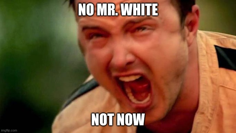 Aaron Paul Screaming | NO MR. WHITE; NOT NOW | image tagged in aaron paul screaming | made w/ Imgflip meme maker