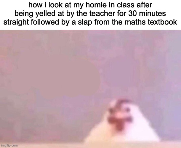 Pollo ? | how i look at my homie in class after being yelled at by the teacher for 30 minutes straight followed by a slap from the maths textbook | image tagged in pollo | made w/ Imgflip meme maker