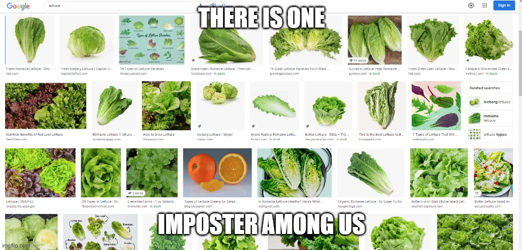 ummmmm | THERE IS ONE; IMPOSTER AMONG US | image tagged in there is 1 imposter among us | made w/ Imgflip meme maker