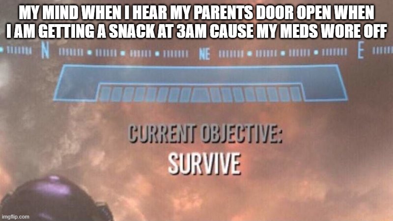 SURVIVE THEM | MY MIND WHEN I HEAR MY PARENTS DOOR OPEN WHEN I AM GETTING A SNACK AT 3AM CAUSE MY MEDS WORE OFF | image tagged in current objective survive | made w/ Imgflip meme maker