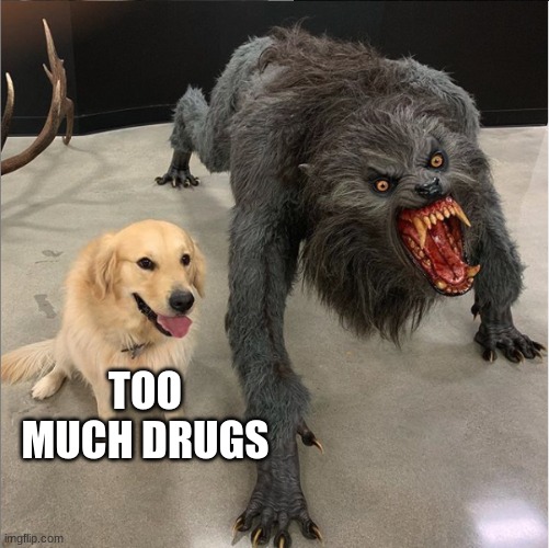 dog vs werewolf | TOO MUCH DRUGS | image tagged in dog vs werewolf | made w/ Imgflip meme maker