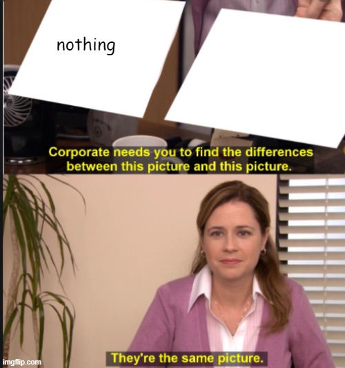 Nothing & are the same thing | nothing | image tagged in they're the same picture | made w/ Imgflip meme maker