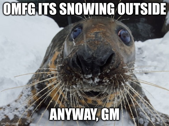 his name's bim bim | OMFG ITS SNOWING OUTSIDE; ANYWAY, GM | image tagged in his name's bim bim | made w/ Imgflip meme maker