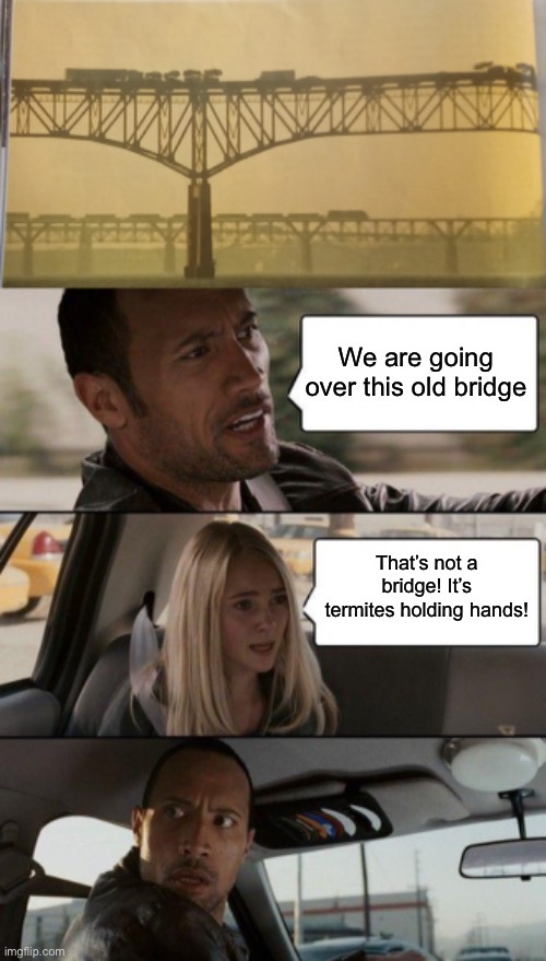 We are going over this old bridge; That’s not a bridge! It’s termites holding hands! | image tagged in 2 bridges 2 trains,memes,the rock driving | made w/ Imgflip meme maker