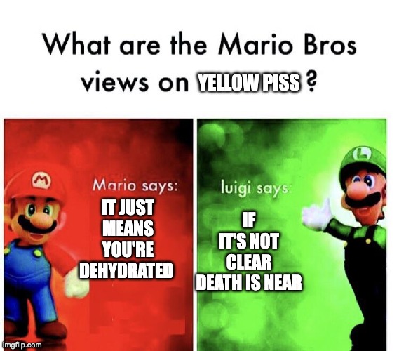 HHHHHMMMMMM | YELLOW PISS; IT JUST MEANS YOU'RE DEHYDRATED; IF IT'S NOT CLEAR DEATH IS NEAR | image tagged in what are the mario bros views on,mario,luigi,super mario bros | made w/ Imgflip meme maker
