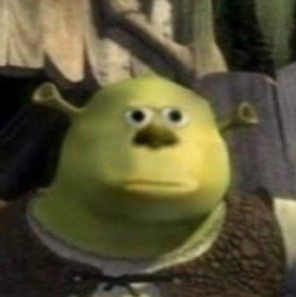 High Quality realizing shrek Blank Meme Template