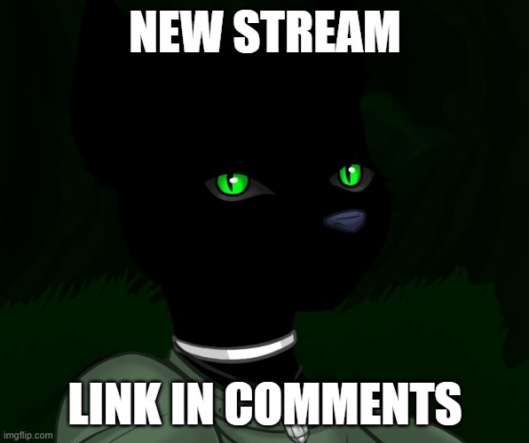 My new panther fursona | NEW STREAM; LINK IN COMMENTS | image tagged in my new panther fursona | made w/ Imgflip meme maker