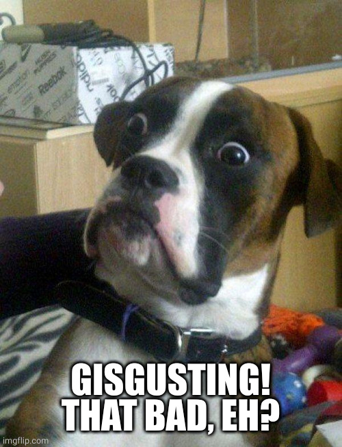 Blankie the Shocked Dog | GISGUSTING! THAT BAD, EH? | image tagged in blankie the shocked dog | made w/ Imgflip meme maker