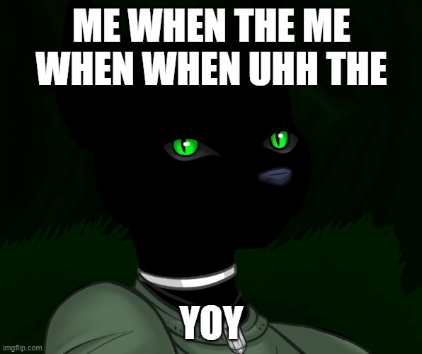My new panther fursona | ME WHEN THE ME WHEN WHEN UHH THE; YOY | image tagged in my new panther fursona | made w/ Imgflip meme maker