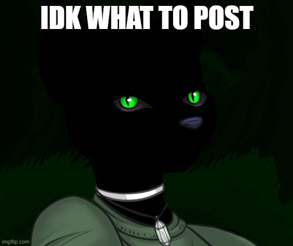 My new panther fursona | IDK WHAT TO POST | image tagged in my new panther fursona | made w/ Imgflip meme maker